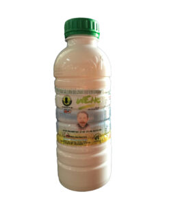 Phân Sinh Học WEHG
